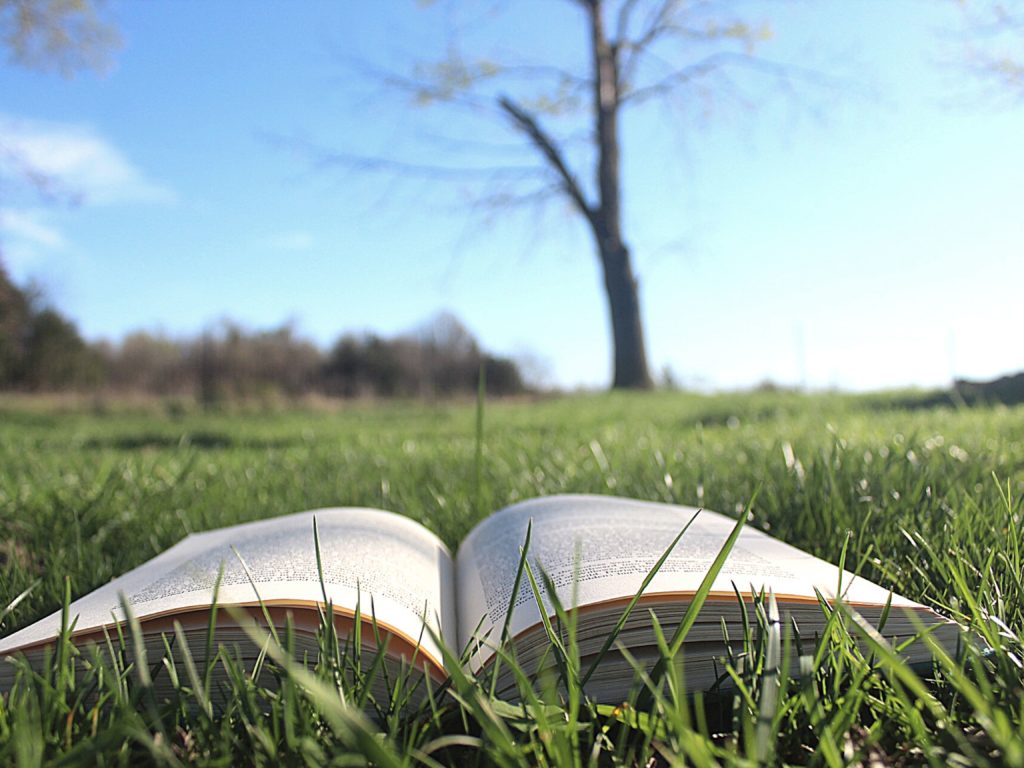 An open book laying on the grass | reading activities