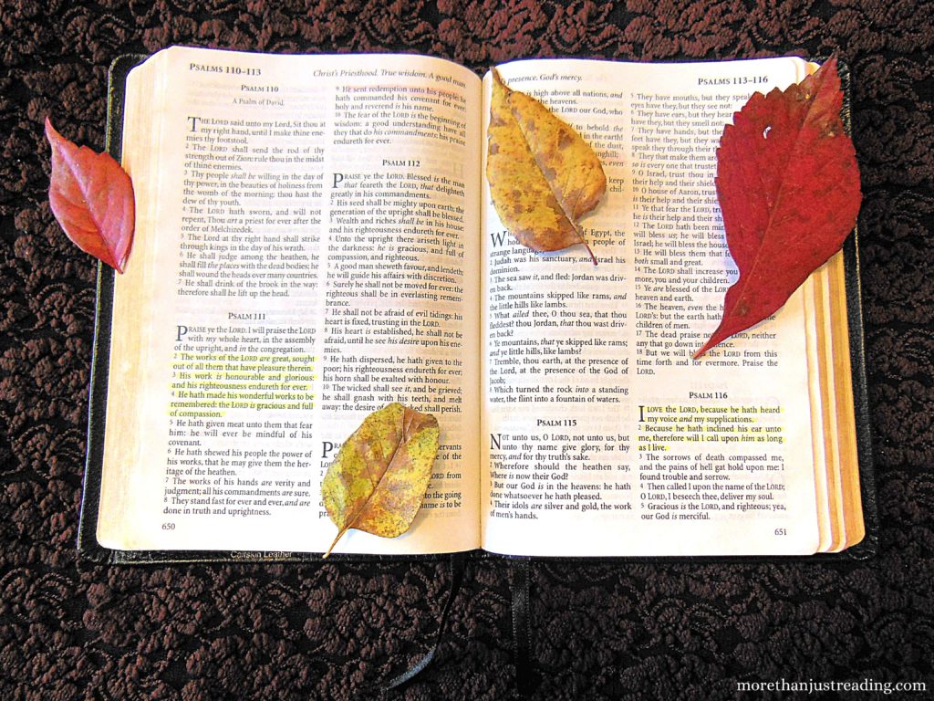 An open Bible