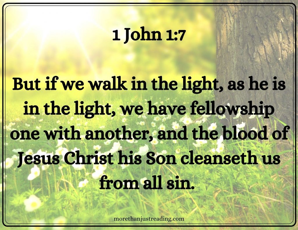 1 John 1:7 sun shining on trees and flowers | forgiveness