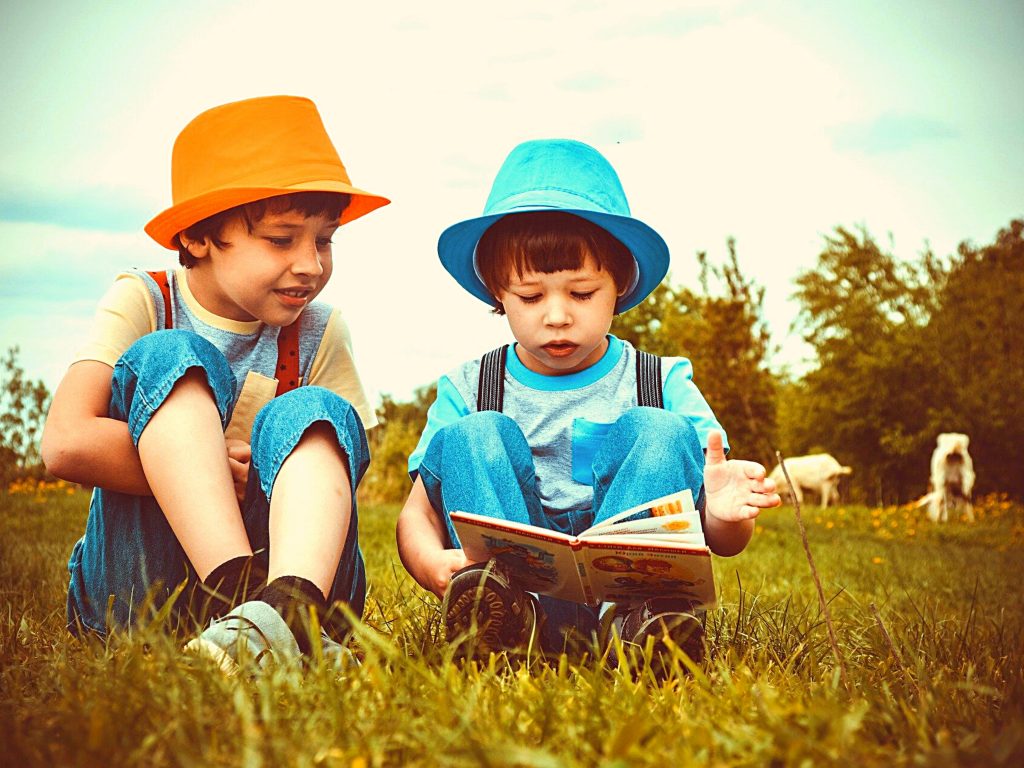 two little boys reading in a pasture | reading strategies for children