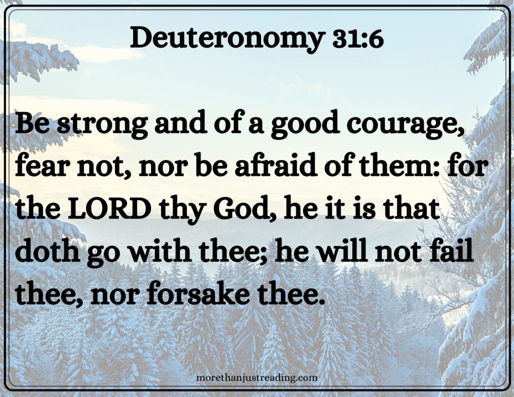 snowy forest  Deuteronomy 31:6 Great is Thy Faithfulness