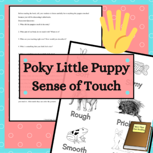 sense of touch worksheet