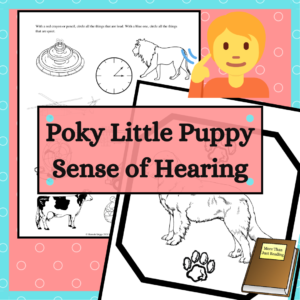 sense of sound worksheet