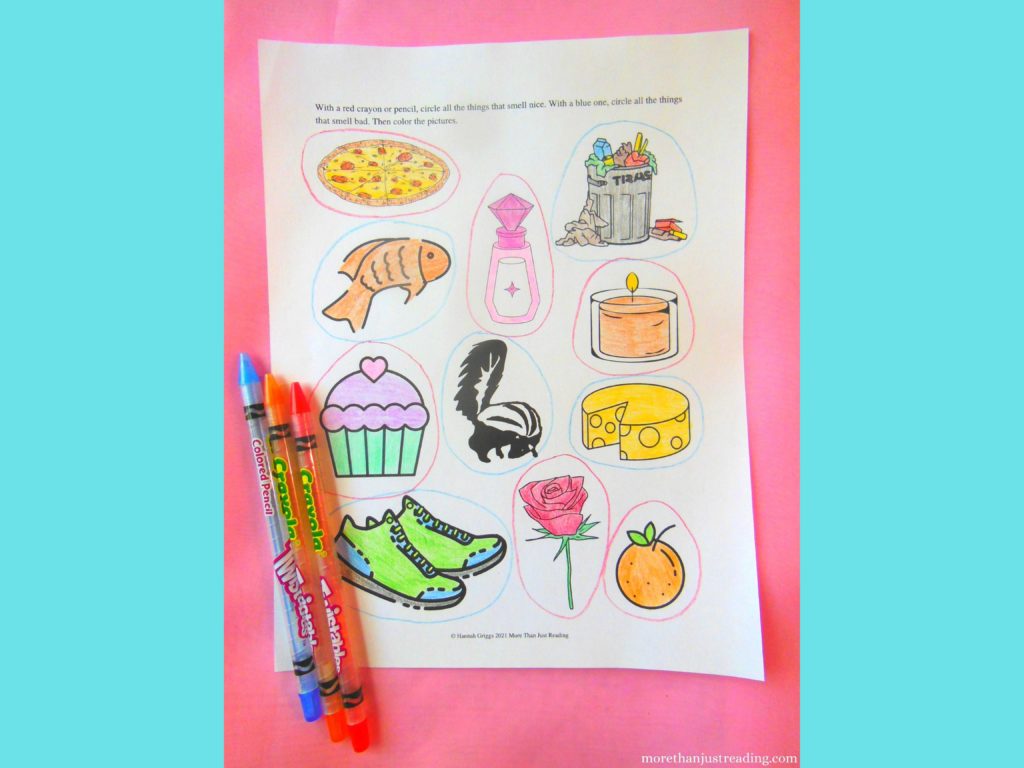 sense of smell worksheet