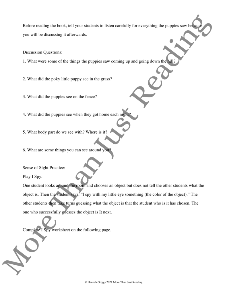 sense of sight worksheet