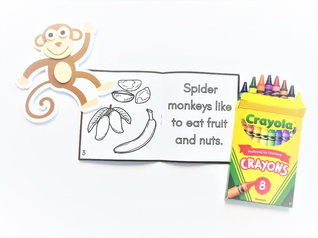 spider monkey lesson for 1st grade | spider monkey book to make